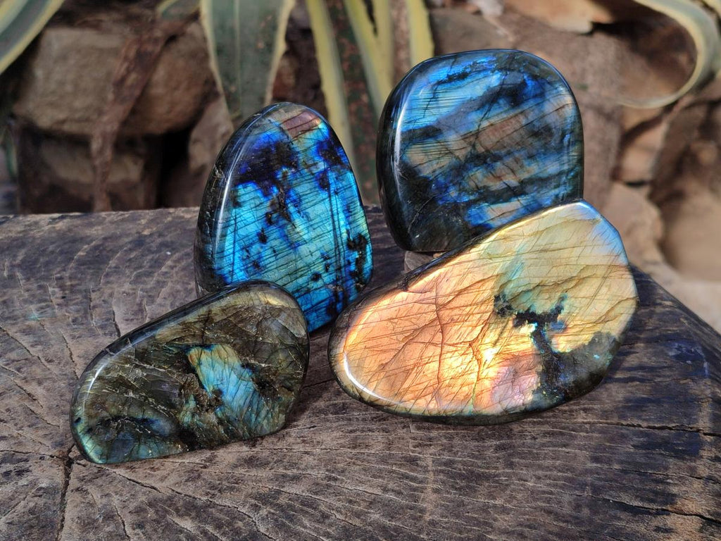 Polished Labradorite Standing Display Pieces x 4 From Madagascar - Toprock Gemstones and Minerals 