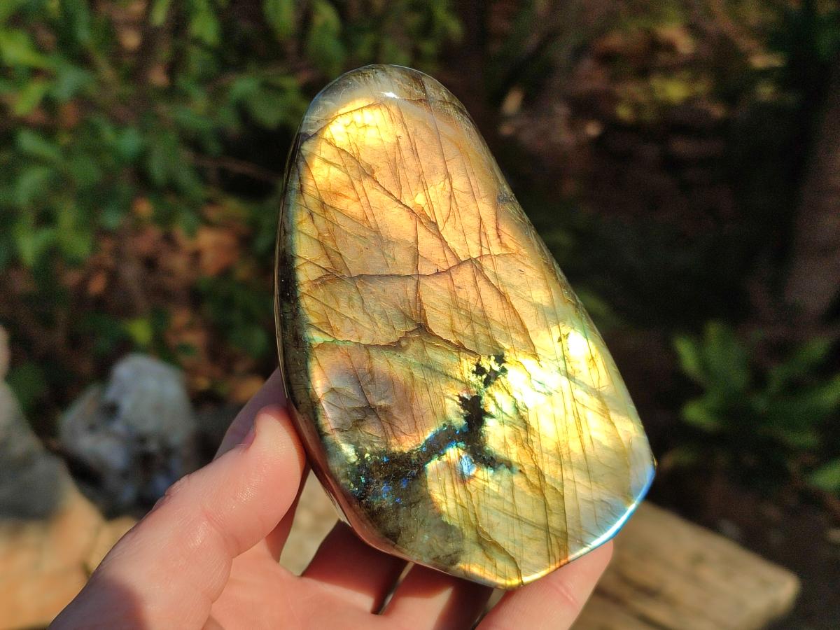 Polished Labradorite Standing Display Pieces x 4 From Madagascar - Toprock Gemstones and Minerals 