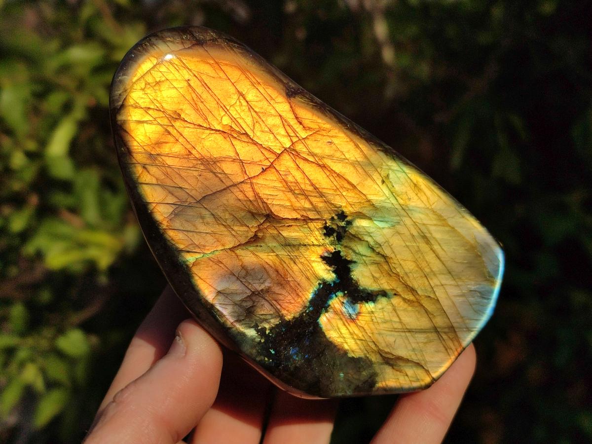 Polished Labradorite Standing Display Pieces x 4 From Madagascar - Toprock Gemstones and Minerals 