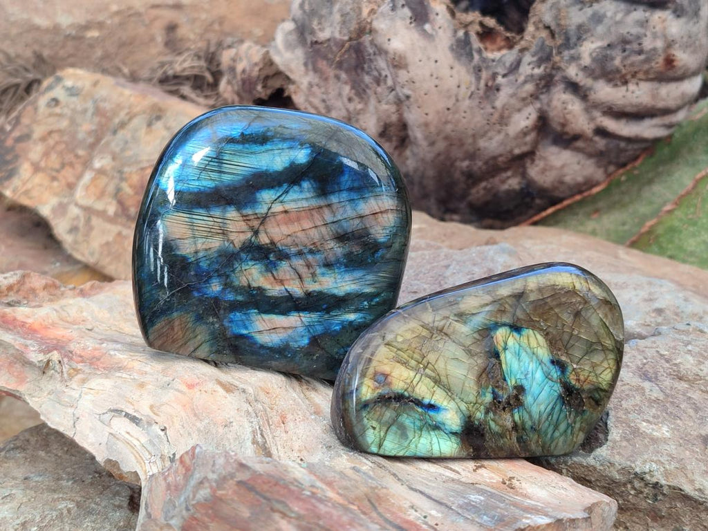 Polished Labradorite Standing Display Pieces x 4 From Madagascar - Toprock Gemstones and Minerals 