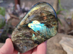Polished Labradorite Standing Display Pieces x 4 From Madagascar - Toprock Gemstones and Minerals 