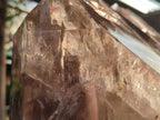 Polished XXL Smokey Window Enhydro Quartz Castle Crystal x 1 From Madagascar - Toprock Gemstones and Minerals 