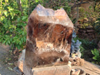 Polished XXL Smokey Window Enhydro Quartz Castle Crystal x 1 From Madagascar - Toprock Gemstones and Minerals 