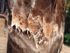 Polished XXL Smokey Window Enhydro Quartz Castle Crystal x 1 From Madagascar - Toprock Gemstones and Minerals 