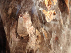Polished XXL Smokey Window Enhydro Quartz Castle Crystal x 1 From Madagascar - Toprock Gemstones and Minerals 