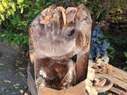 Polished XXL Smokey Window Enhydro Quartz Castle Crystal x 1 From Madagascar - Toprock Gemstones and Minerals 
