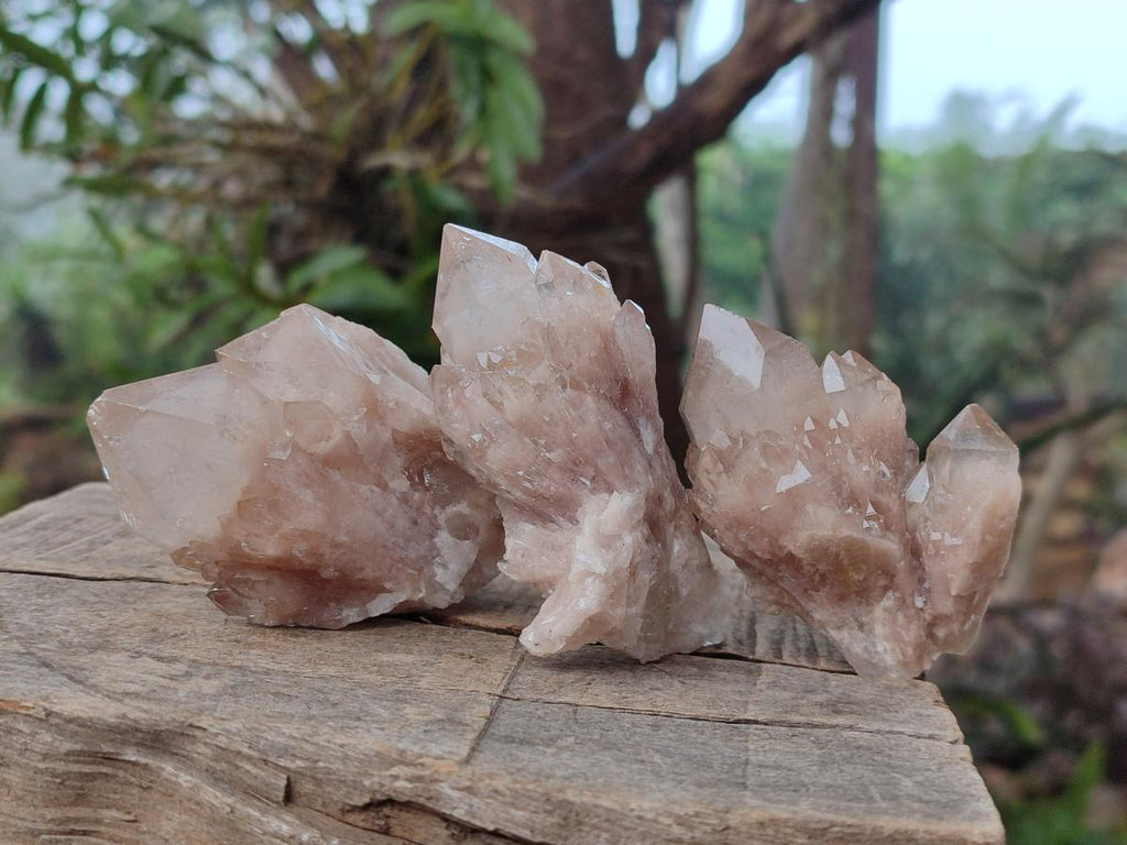 Natural Smokey White Phantom Quartz Crystals x 12 From Luena, Congo - Toprock Gemstones and Minerals 