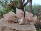 Natural Smokey White Phantom Quartz Crystals x 12 From Luena, Congo - Toprock Gemstones and Minerals 