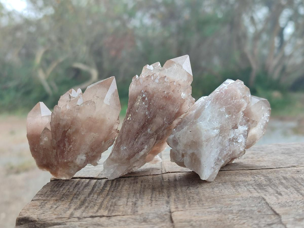Natural Smokey White Phantom Quartz Crystals x 12 From Luena, Congo - Toprock Gemstones and Minerals 