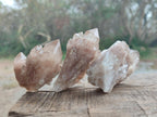 Natural Smokey White Phantom Quartz Crystals x 12 From Luena, Congo - Toprock Gemstones and Minerals 