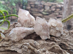 Natural Smokey White Phantom Quartz Crystals x 12 From Luena, Congo - Toprock Gemstones and Minerals 