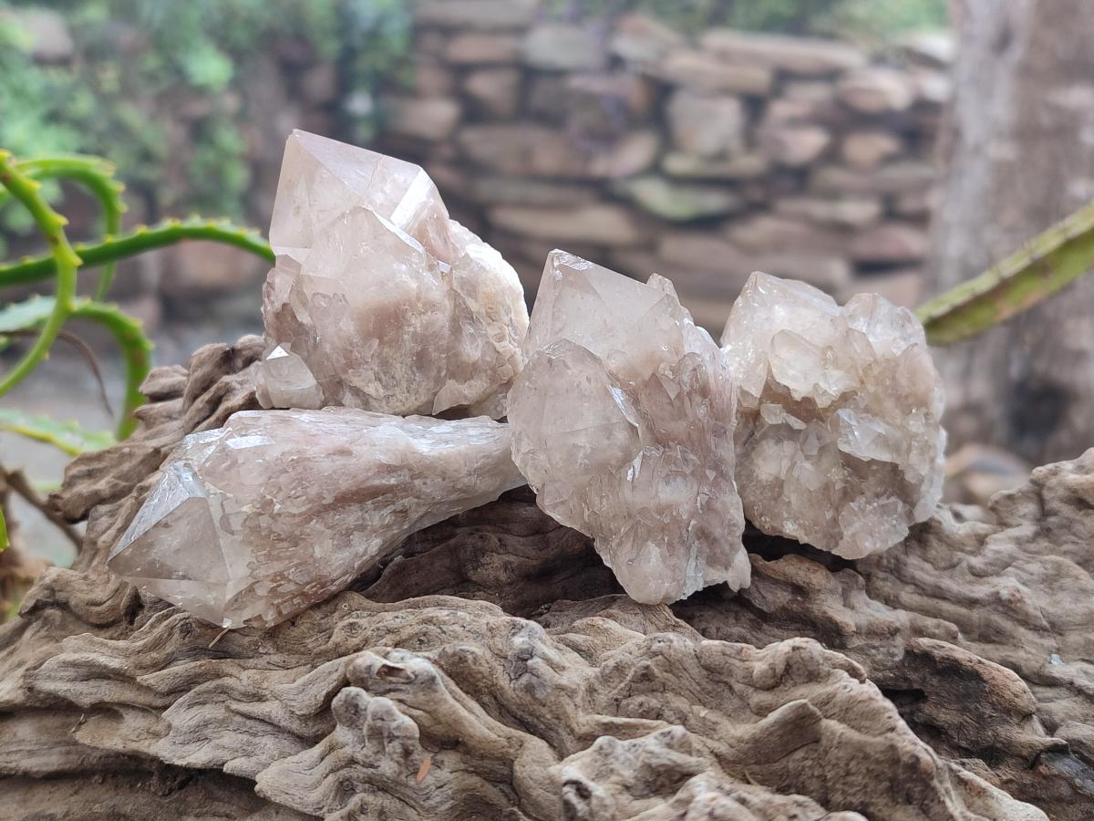 Natural Smokey White Phantom Quartz Crystals x 12 From Luena, Congo - Toprock Gemstones and Minerals 