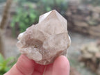 Natural Smokey White Phantom Quartz Crystals x 12 From Luena, Congo - Toprock Gemstones and Minerals 