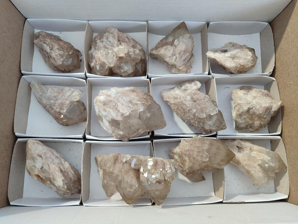 Natural Smokey White Phantom Quartz Crystals x 12 From Luena, Congo - Toprock Gemstones and Minerals 