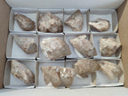 Natural Smokey White Phantom Quartz Crystals x 12 From Luena, Congo - Toprock Gemstones and Minerals 