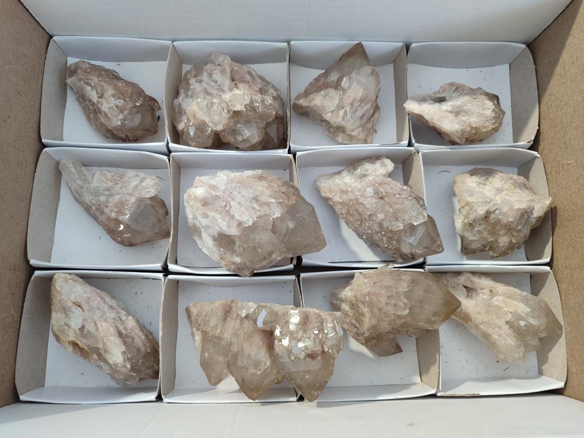 Natural Smokey White Phantom Quartz Crystals x 12 From Luena, Congo - Toprock Gemstones and Minerals 