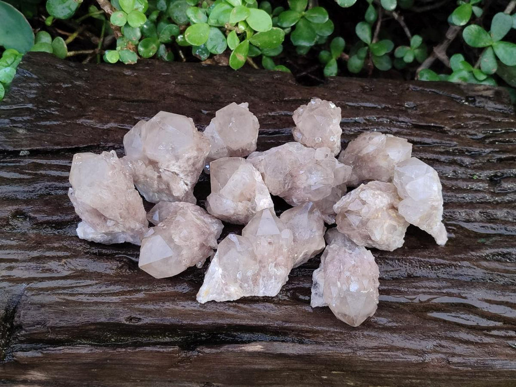 Natural Smokey White Phantom Quartz Crystals x 12 From Luena, Congo - Toprock Gemstones and Minerals 