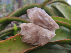 Natural Smokey White Phantom Quartz Crystals x 12 From Luena, Congo - Toprock Gemstones and Minerals 