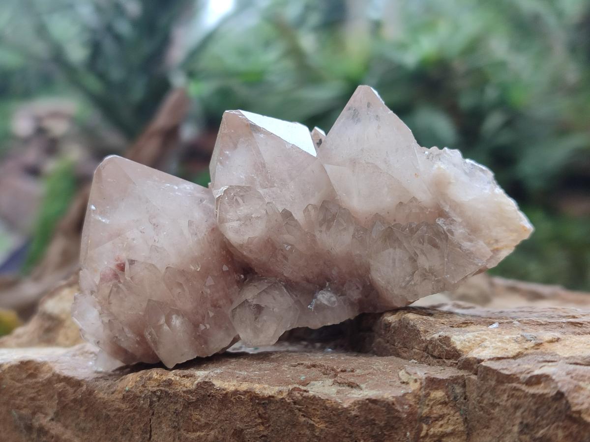Natural Smokey White Phantom Quartz Crystals x 12 From Luena, Congo - Toprock Gemstones and Minerals 