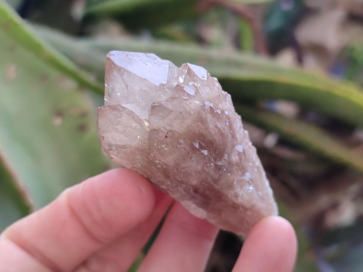 Natural Smokey White Phantom Quartz Crystals x 12 From Luena, Congo - Toprock Gemstones and Minerals 