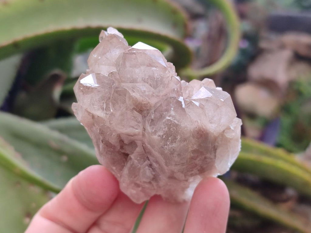 Natural Smokey White Phantom Quartz Crystals x 12 From Luena, Congo - Toprock Gemstones and Minerals 