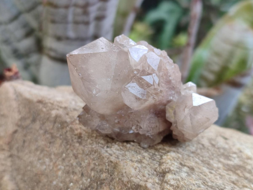 Natural Smokey White Phantom Quartz Crystals x 12 From Luena, Congo - Toprock Gemstones and Minerals 
