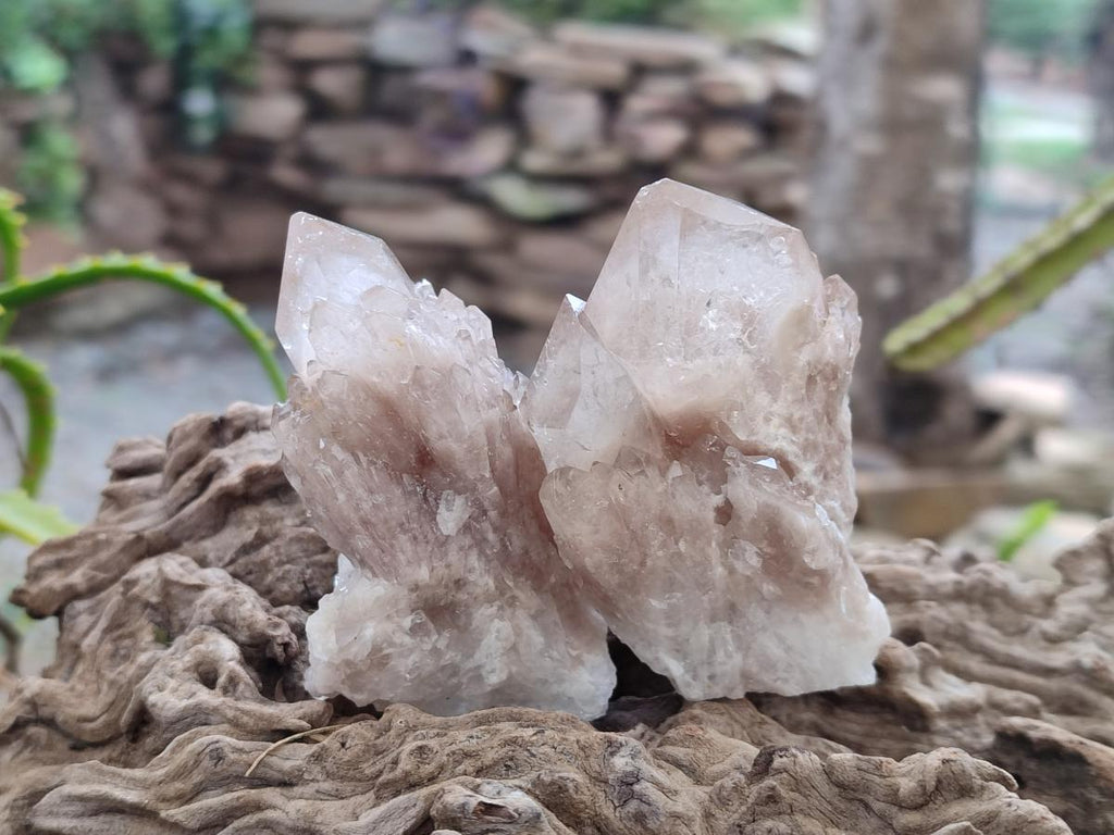 Natural Smokey White Phantom Quartz Crystals x 12 From Luena, Congo - Toprock Gemstones and Minerals 