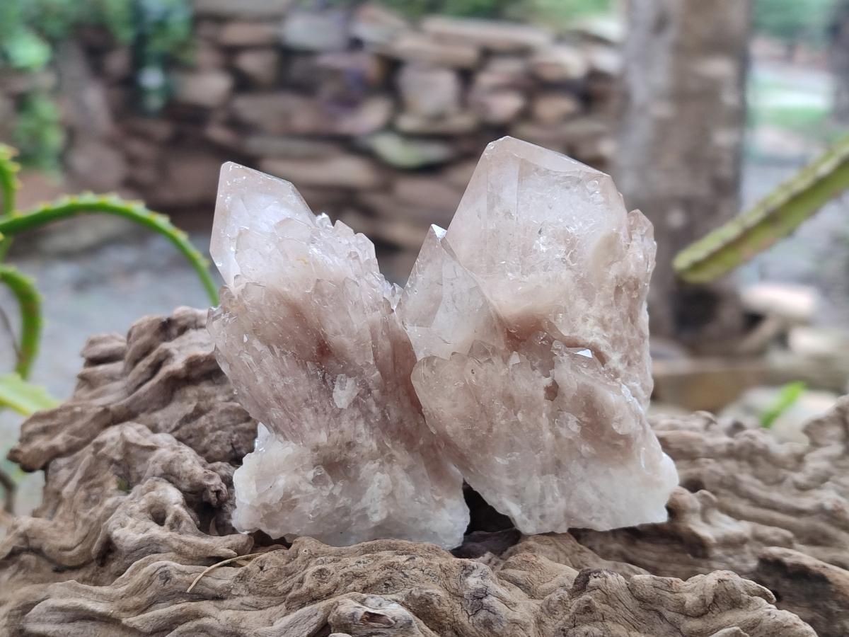 Natural Smokey White Phantom Quartz Crystals x 12 From Luena, Congo - Toprock Gemstones and Minerals 
