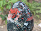 Polished Bloodstone Standing Display Pieces x 2 From Swaziland - Toprock Gemstones and Minerals 