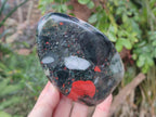 Polished Bloodstone Standing Display Pieces x 2 From Swaziland - Toprock Gemstones and Minerals 