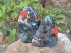Polished Bloodstone Standing Display Pieces x 2 From Swaziland - Toprock Gemstones and Minerals 