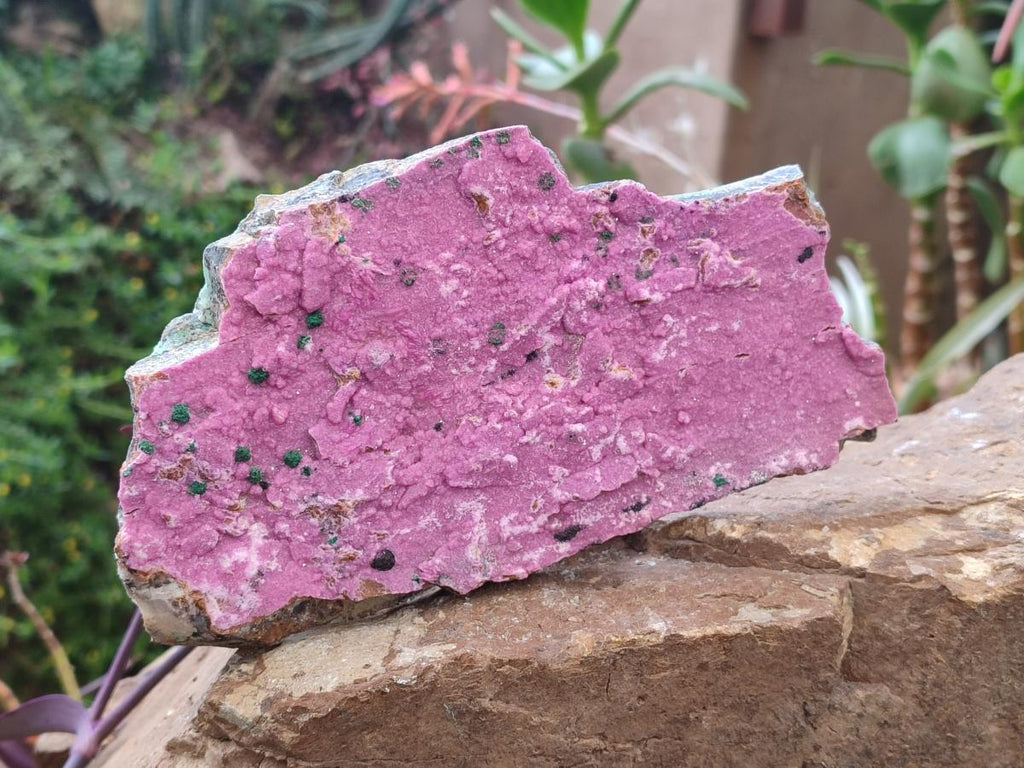 Natural Salrose Cobaltoan Dolomite Plate Specimens x 3 From Kakanda, Congo - Toprock Gemstones and Minerals 