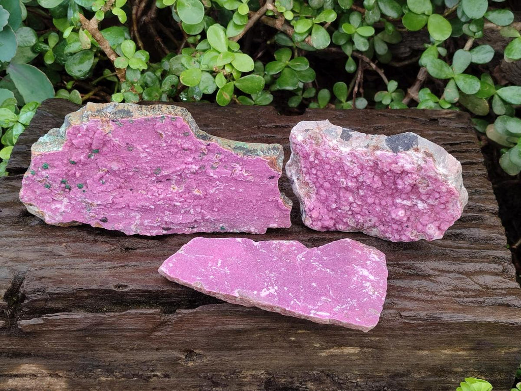 Natural Salrose Cobaltoan Dolomite Plate Specimens x 3 From Kakanda, Congo - Toprock Gemstones and Minerals 