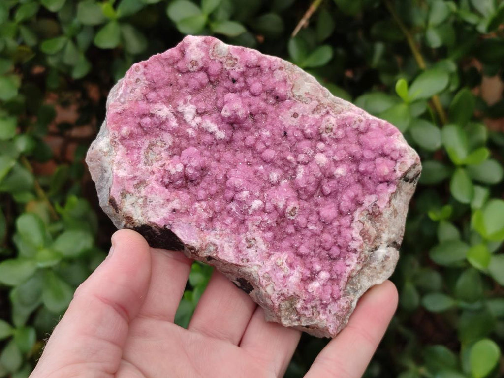 Natural Salrose Cobaltoan Dolomite Plate Specimens x 3 From Kakanda, Congo - Toprock Gemstones and Minerals 