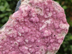Natural Salrose Cobaltoan Dolomite Plate Specimens x 3 From Kakanda, Congo - Toprock Gemstones and Minerals 