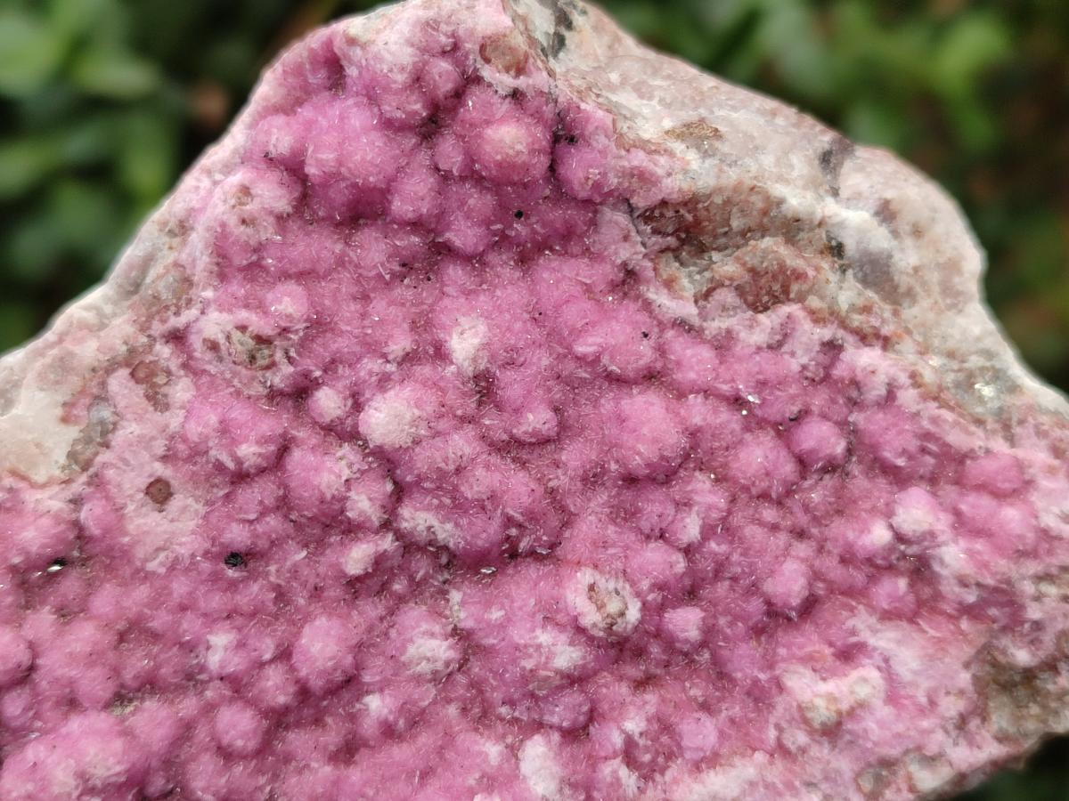 Natural Salrose Cobaltoan Dolomite Plate Specimens x 3 From Kakanda, Congo - Toprock Gemstones and Minerals 