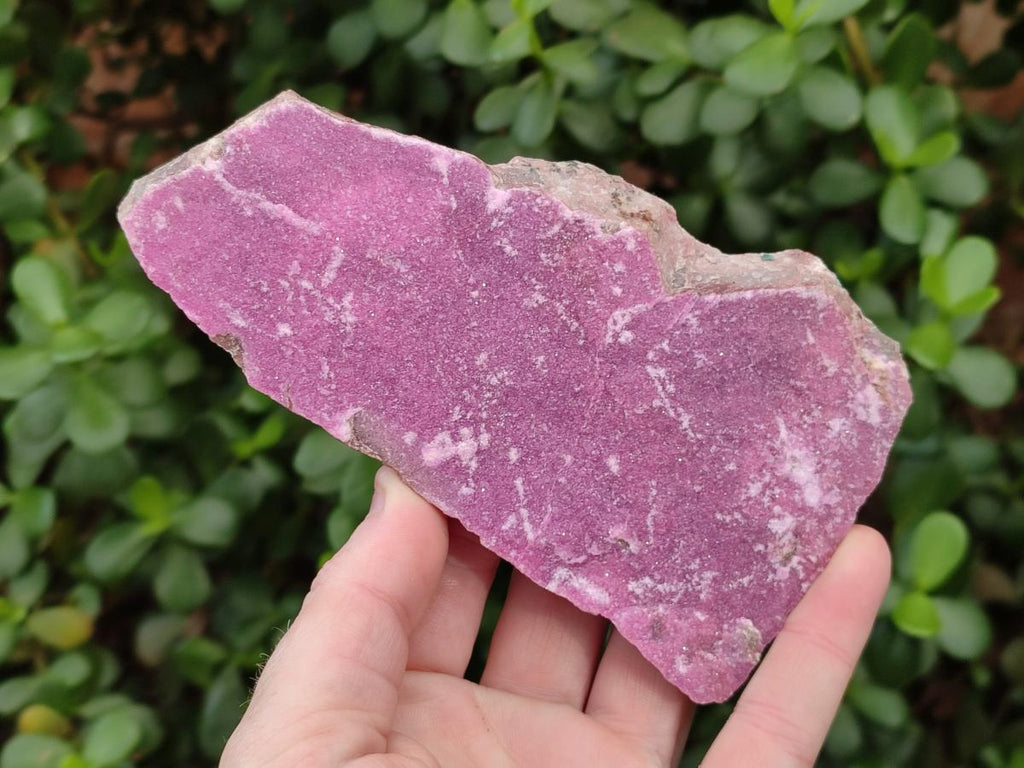 Natural Salrose Cobaltoan Dolomite Plate Specimens x 3 From Kakanda, Congo - Toprock Gemstones and Minerals 