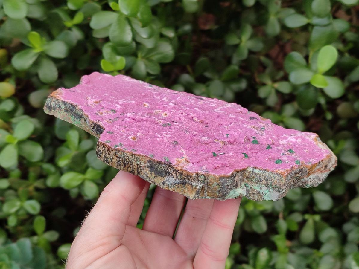 Natural Salrose Cobaltoan Dolomite Plate Specimens x 3 From Kakanda, Congo - Toprock Gemstones and Minerals 