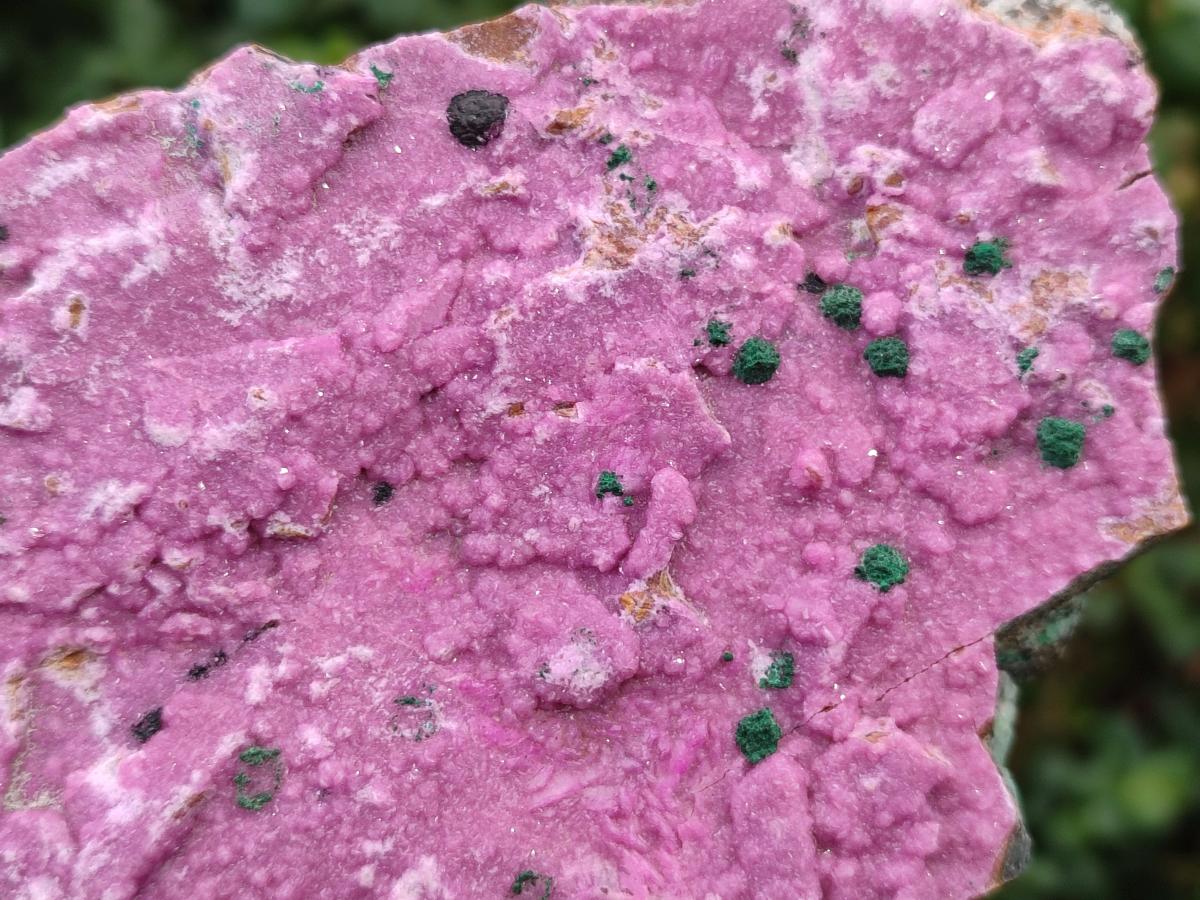 Natural Salrose Cobaltoan Dolomite Plate Specimens x 3 From Kakanda, Congo - Toprock Gemstones and Minerals 