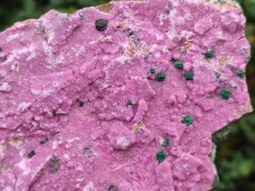 Natural Salrose Cobaltoan Dolomite Plate Specimens x 3 From Kakanda, Congo - Toprock Gemstones and Minerals 