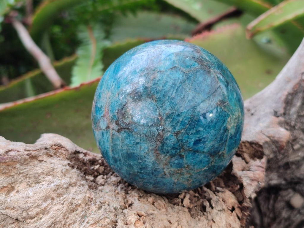 Polished Blue Apatite Spheres x 4 From Betroka, Madagascar - Toprock Gemstones and Minerals 