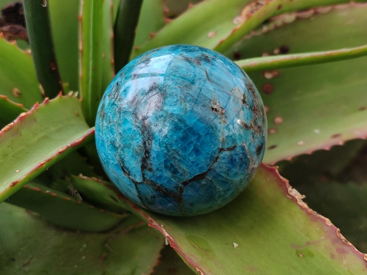 Polished Blue Apatite Spheres x 4 From Betroka, Madagascar - Toprock Gemstones and Minerals 