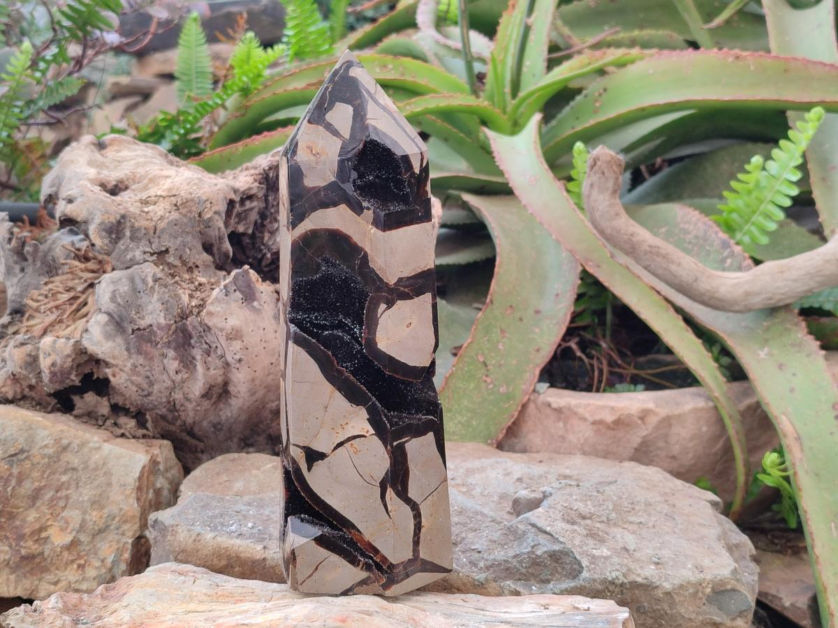 Polished Large Septerye Sauvage Display Crystal x 1 From Mahajanga, Madagascar - Toprock Gemstones and Minerals 