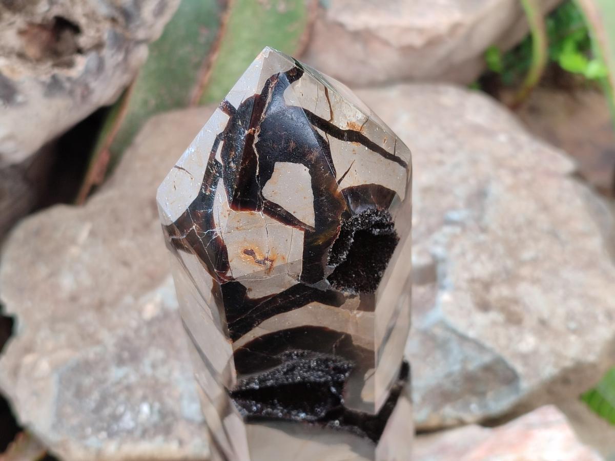Polished Large Septerye Sauvage Display Crystal x 1 From Mahajanga, Madagascar - Toprock Gemstones and Minerals 