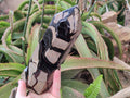 Polished Large Septerye Sauvage Display Crystal x 1 From Mahajanga, Madagascar - Toprock Gemstones and Minerals 