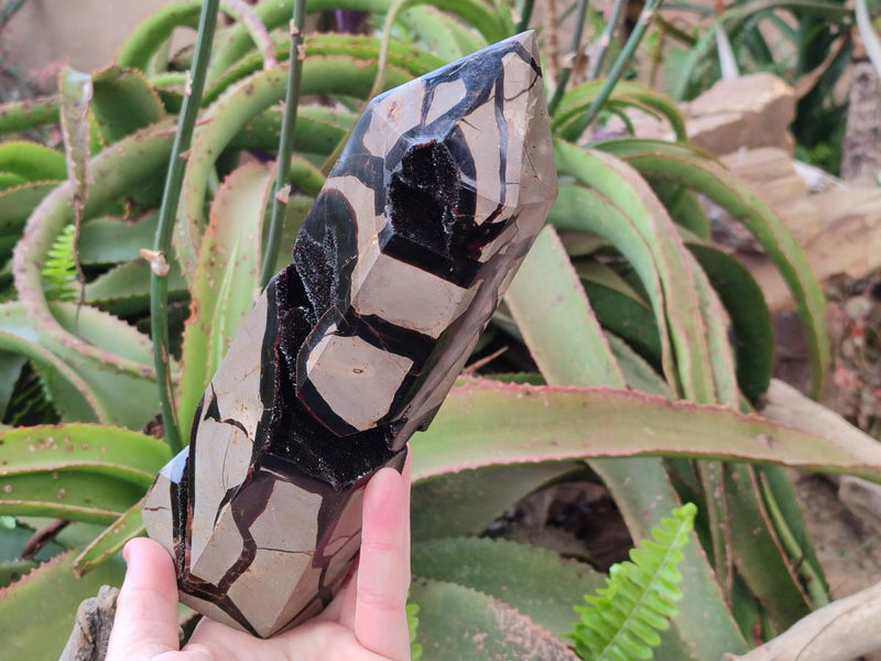 Polished Large Septerye Sauvage Display Crystal x 1 From Mahajanga, Madagascar - Toprock Gemstones and Minerals 