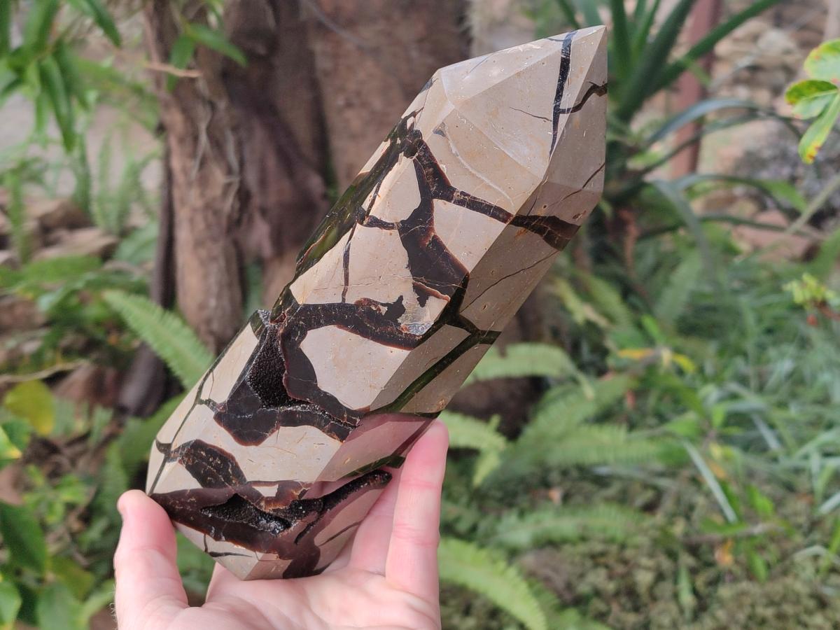 Polished Large Septerye Sauvage Display Crystal x 1 From Mahajanga, Madagascar - Toprock Gemstones and Minerals 