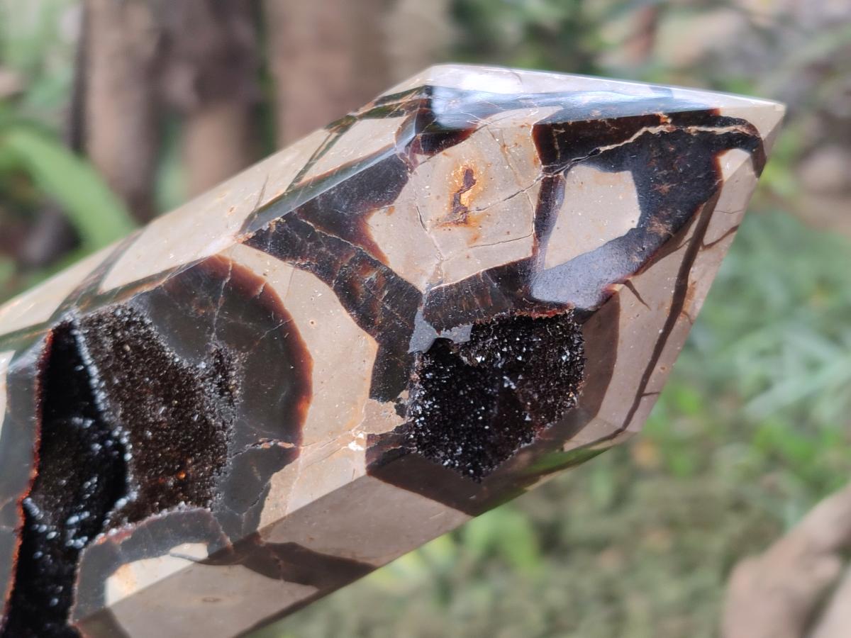 Polished Large Septerye Sauvage Display Crystal x 1 From Mahajanga, Madagascar - Toprock Gemstones and Minerals 
