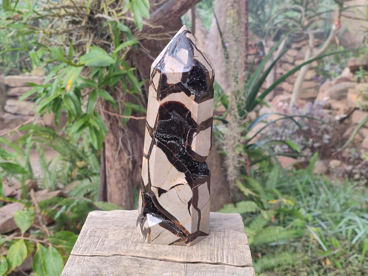 Polished Large Septerye Sauvage Display Crystal x 1 From Mahajanga, Madagascar - Toprock Gemstones and Minerals 