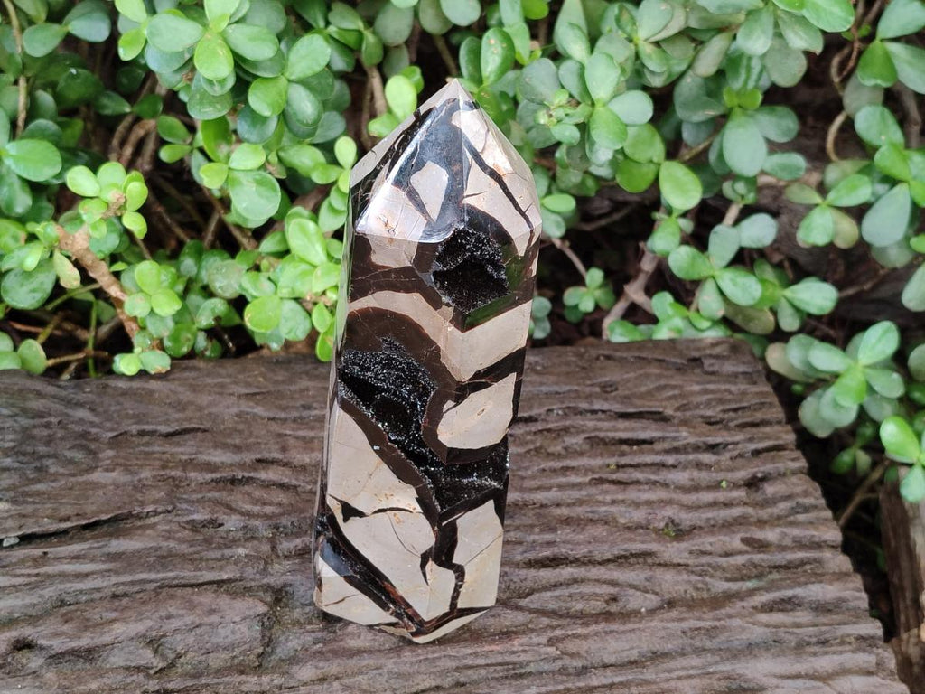Polished Large Septerye Sauvage Display Crystal x 1 From Mahajanga, Madagascar - Toprock Gemstones and Minerals 